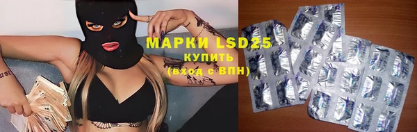 ешки Корсаков