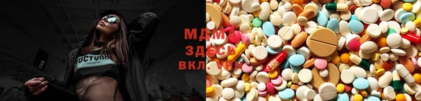 ешки Корсаков