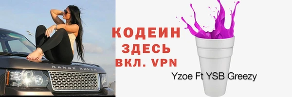 ешки Корсаков