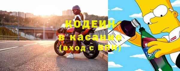 ешки Корсаков