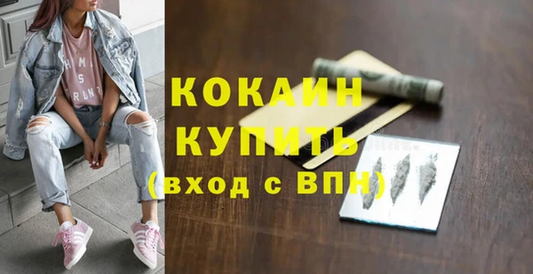 ешки Корсаков