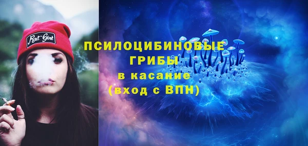ешки Корсаков