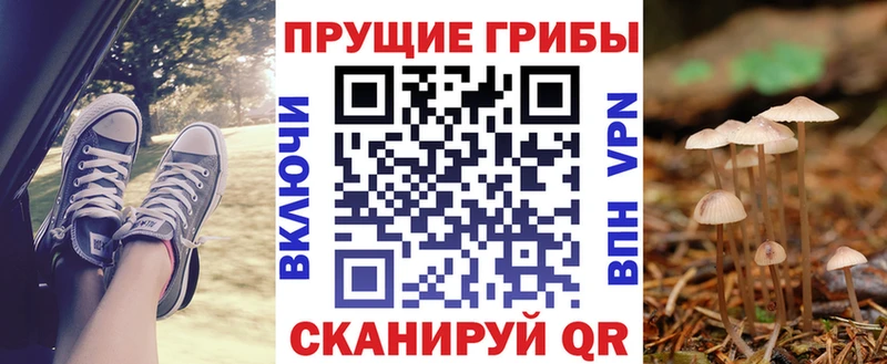 Галлюциногенные грибы Cubensis  Купить  Таштагол 